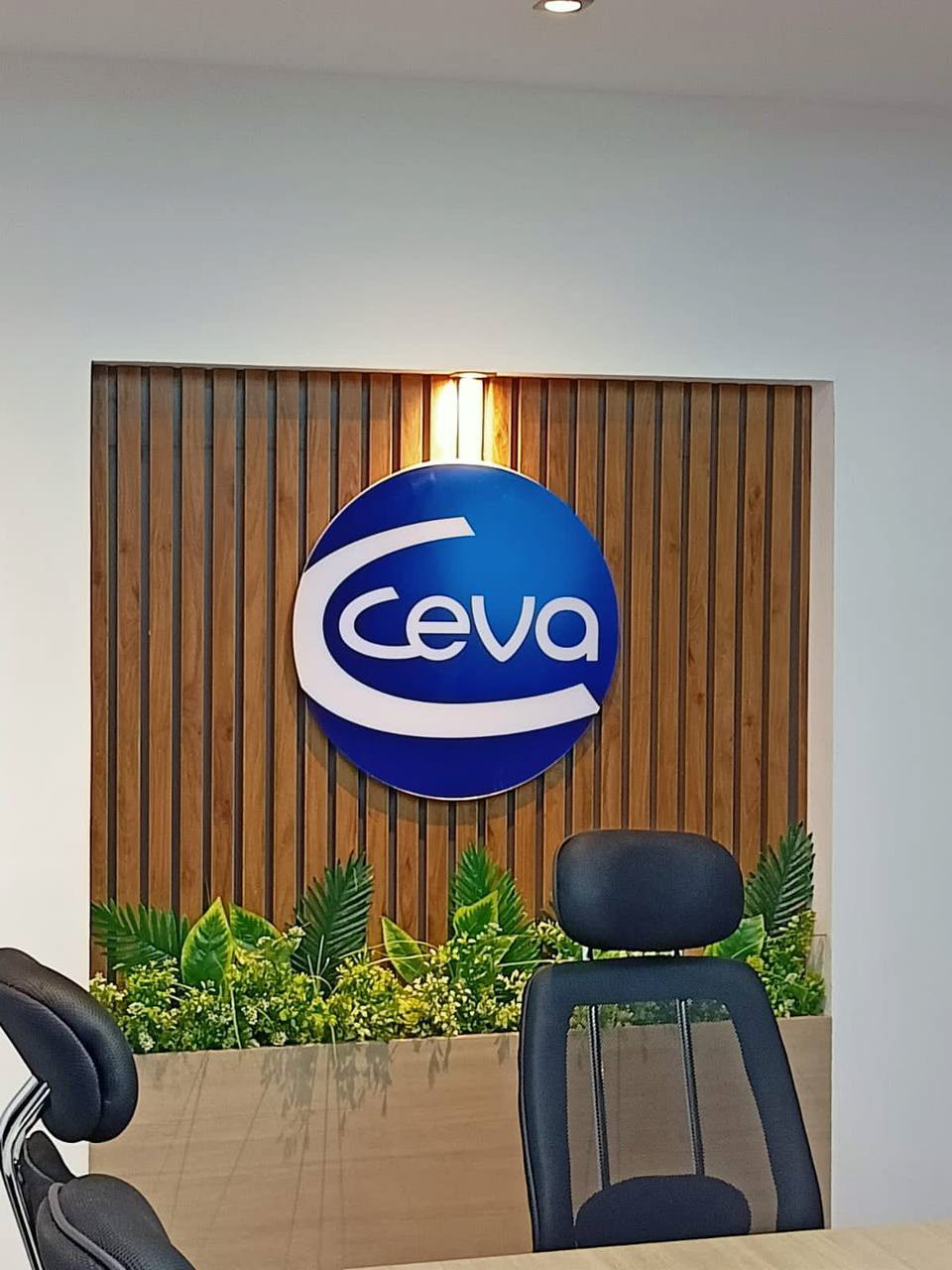 Ceva